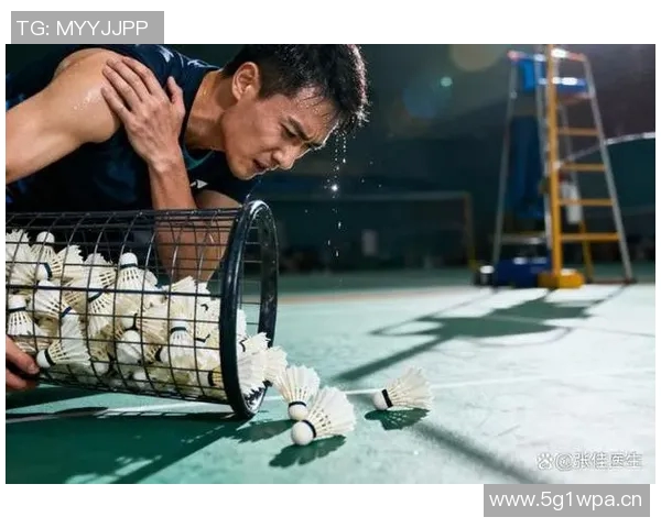 羽毛球传奇王磊的职业生涯回顾与未来展望对话